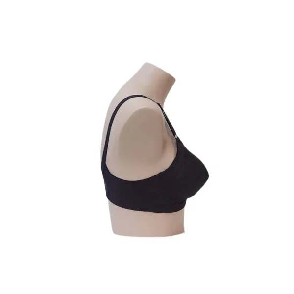 Comfort 15 (B,C) - Image 2