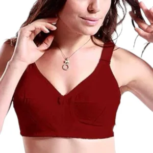 Disclosure Bra Maroon